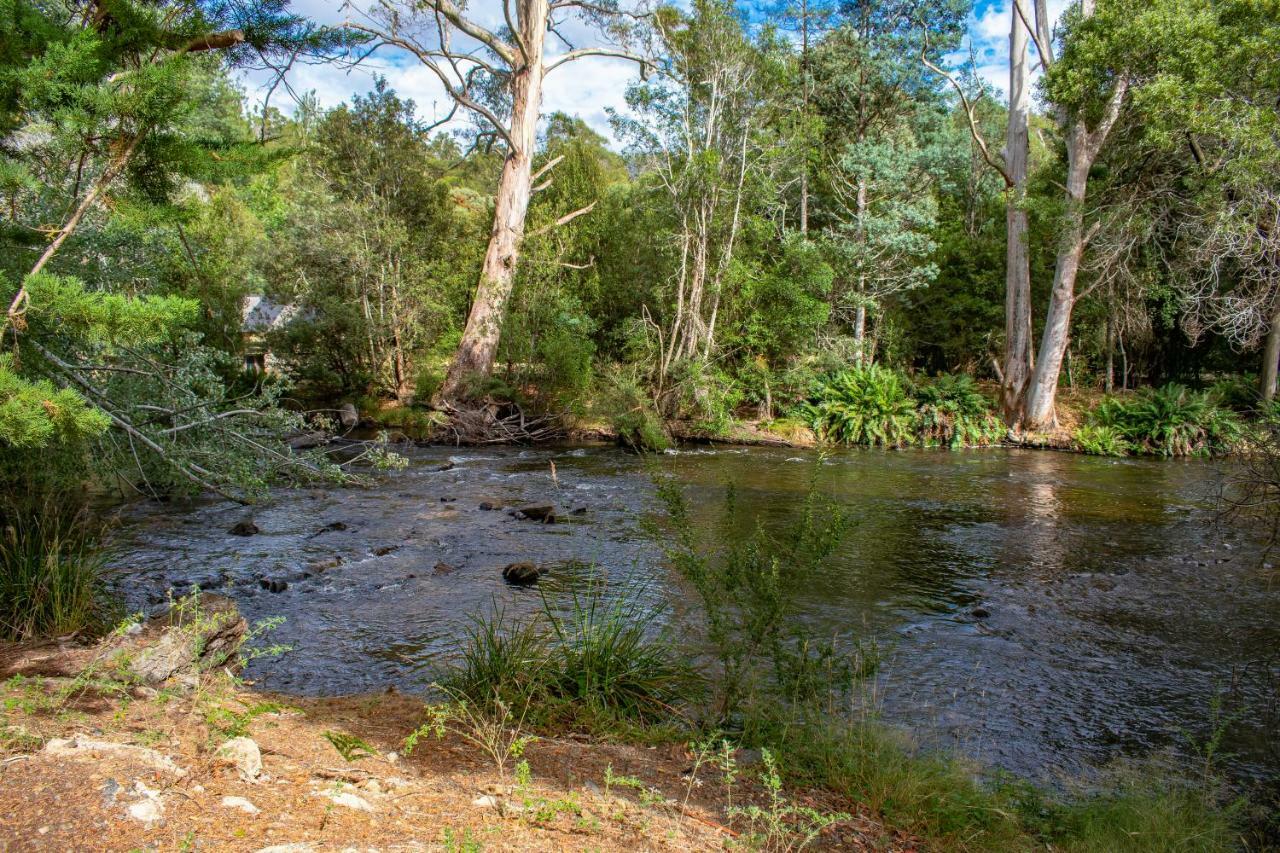 Russell Falls Holiday Cottages National Park エクステリア 写真