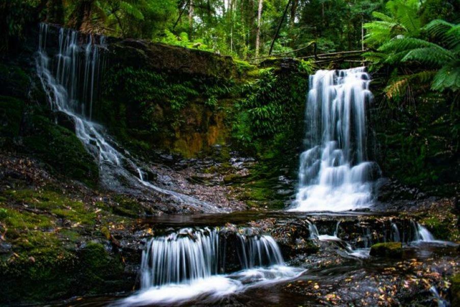 Russell Falls Holiday Cottages National Park エクステリア 写真